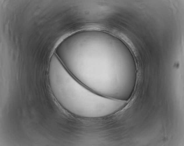 X0000097461481200802220755