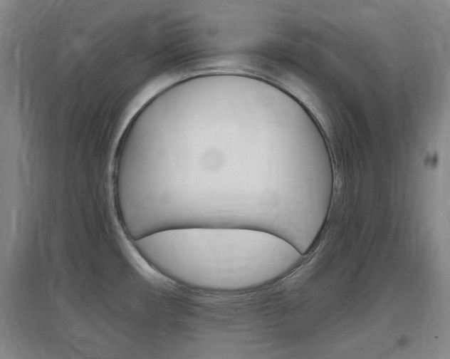X0000097461482200802220755