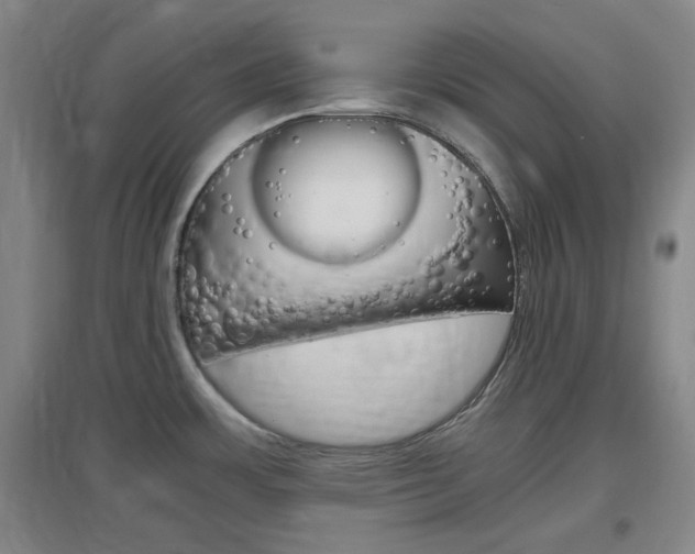 X0000097461483200802220755