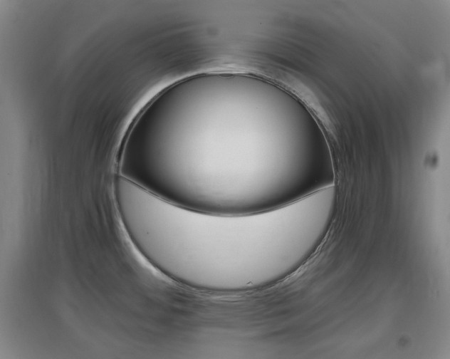 X0000097461484200802220755