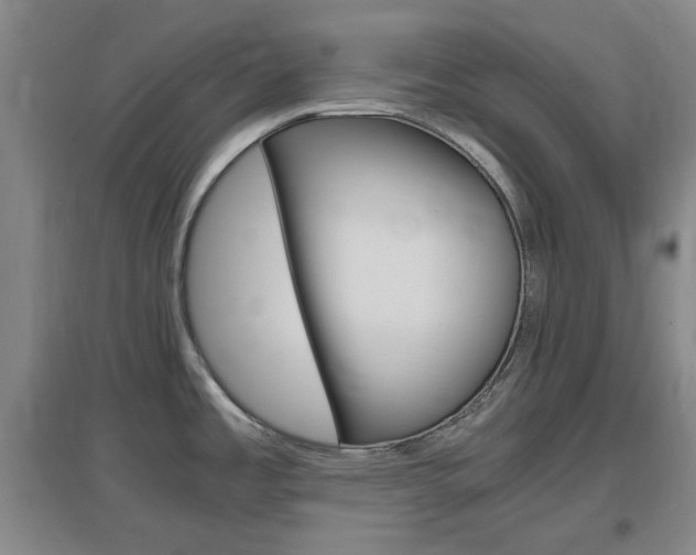 X0000097461485200802220755