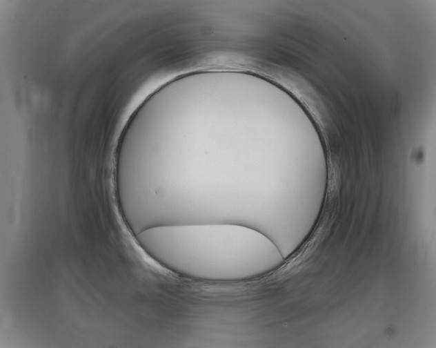 X0000097461486200802220755
