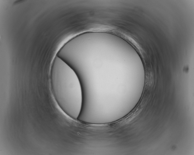 X0000097461487200802220755