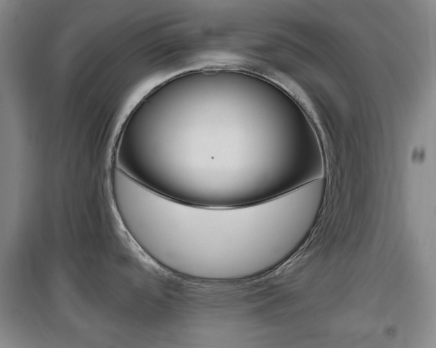 X0000097461488200802220755