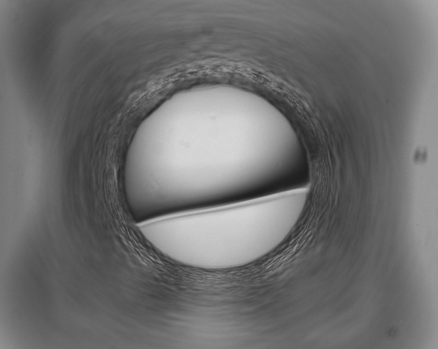 X0000097461489200802220755