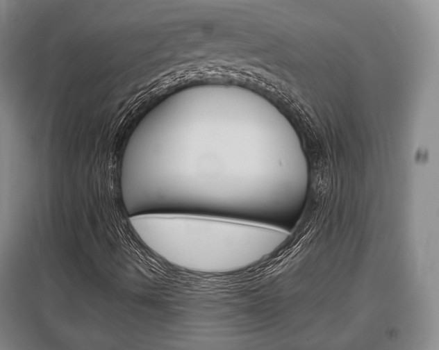 X0000097461490200802220755