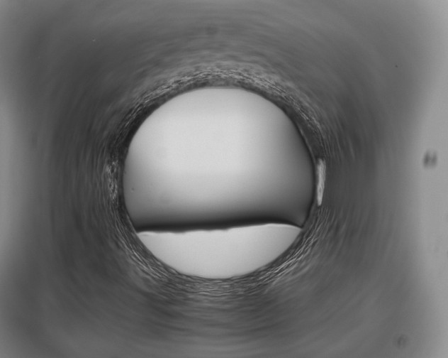 X0000097461491200802220755