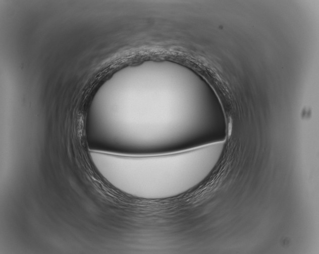 X0000097461492200802220755