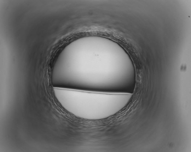 X0000097461493200802220755