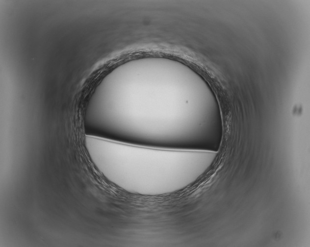 X0000097461494200802220755