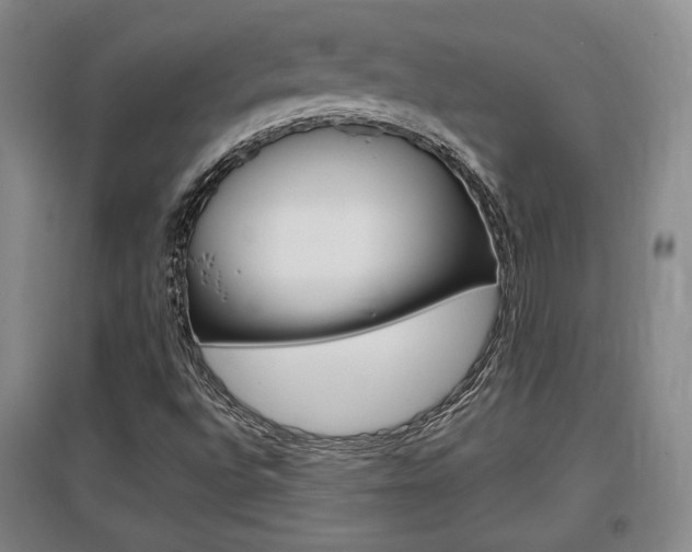 X0000097461496200802220755