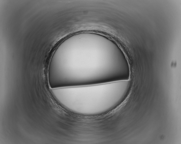 X0000097461497200802220755