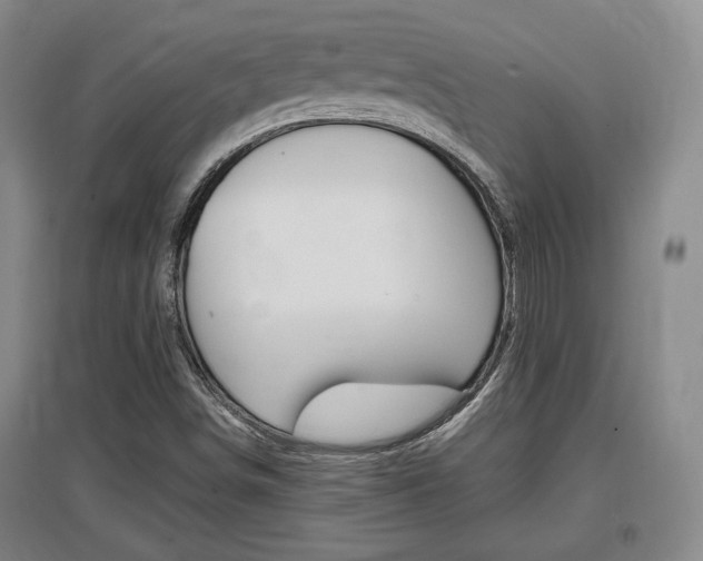 X0000097461498200802220755