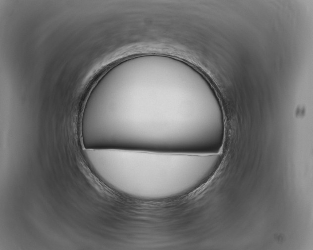 X0000097461499200802220755