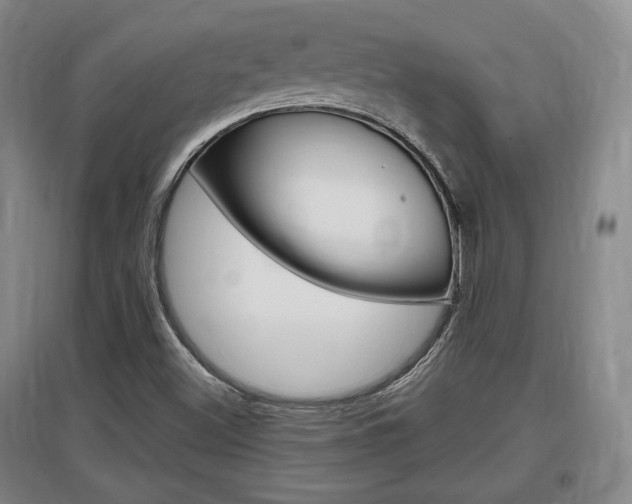 X0000097461500200802220755