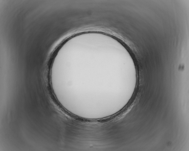 X0000097461502200802220755