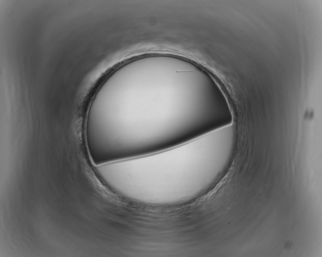 X0000097461503200802220755