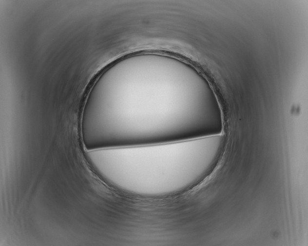 X0000097461505200802220755