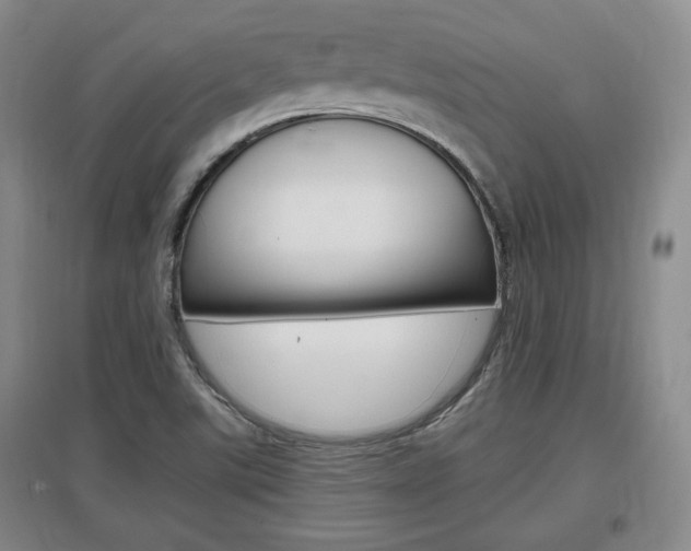 X0000097461507200802220755