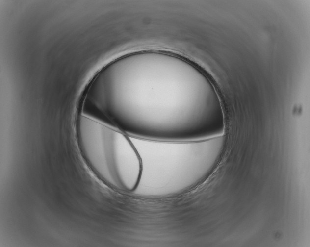 X0000097461508200802220755