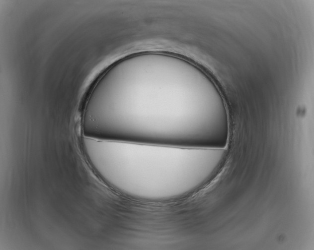 X0000097461509200802220755