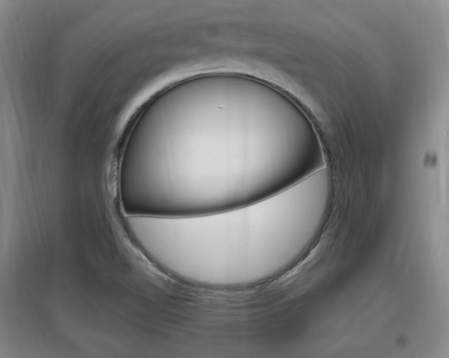 X0000097461510200802220755