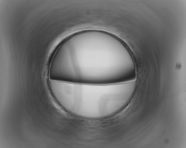 X0000097461511200802220755