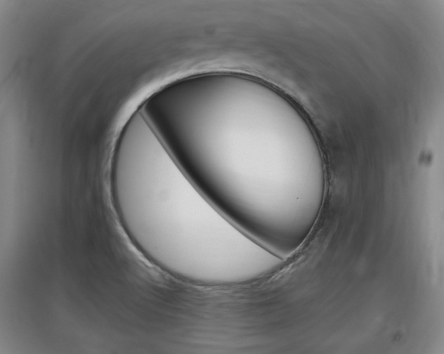 X0000097461512200802220755
