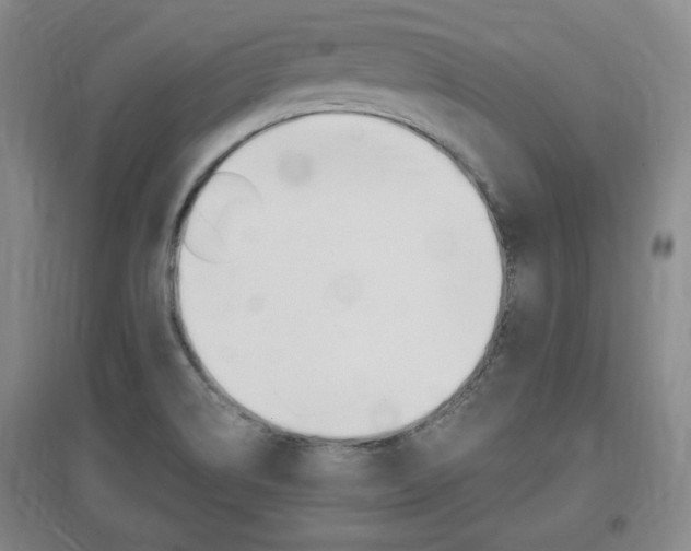 X0000097461514200802220755