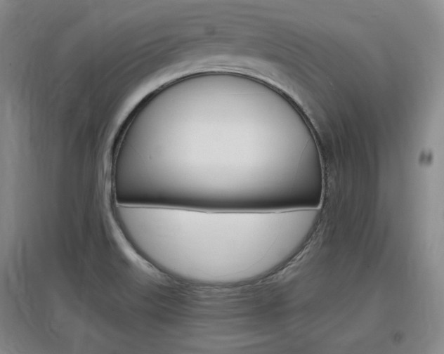 X0000097461515200802220755