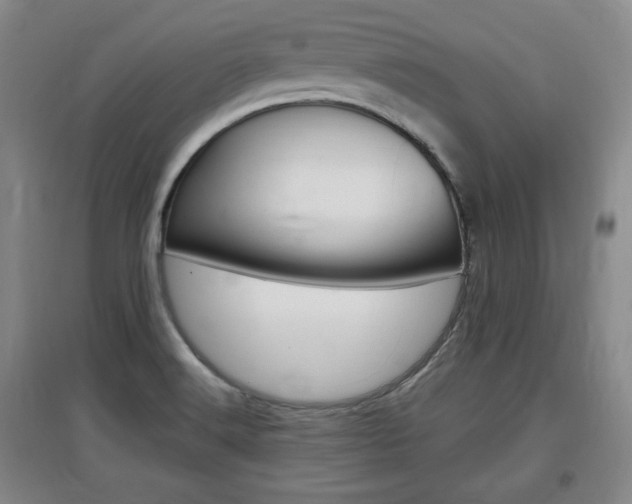 X0000097461516200802220755
