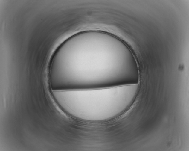 X0000097461517200802220755