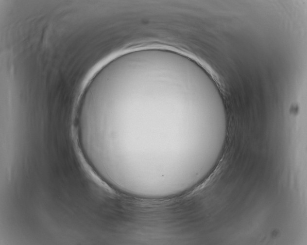 X0000097461518200802220755