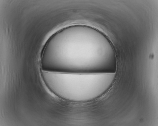 X0000097461519200802220755