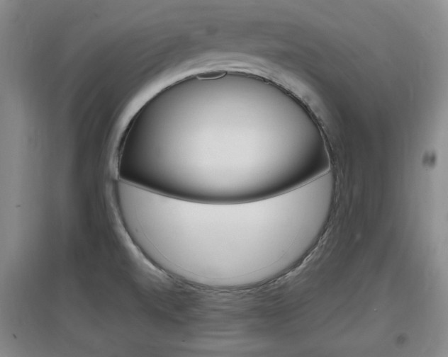 X0000097461520200802220755