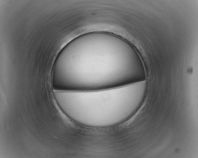 X0000097461521200802220755