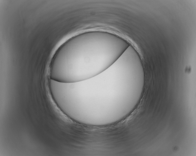 X0000097461522200802220755