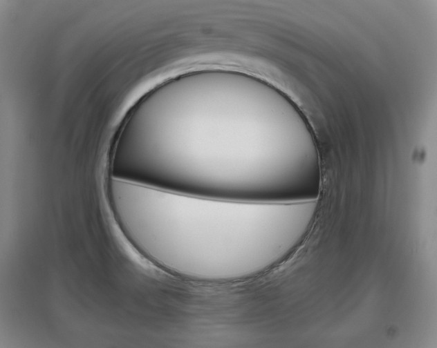 X0000097461523200802220755