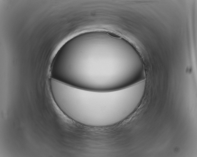 X0000097461524200802220755