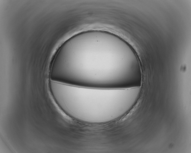X0000097461525200802220755