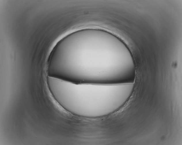 X0000097461526200802220755