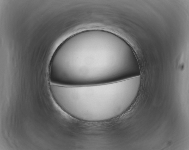 X0000097461527200802220755