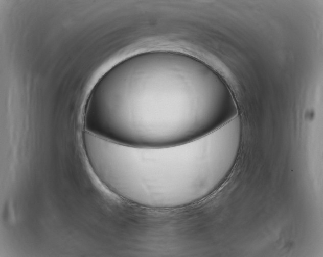 X0000097461528200802220755