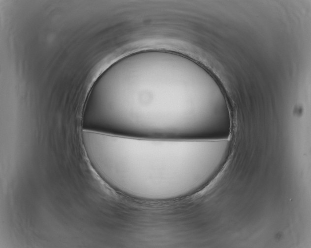 X0000097461529200802220755