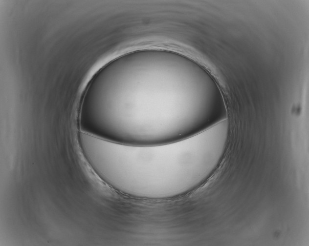 X0000097461530200802220755