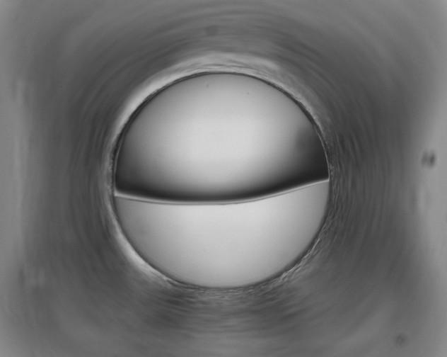 X0000097461531200802220755