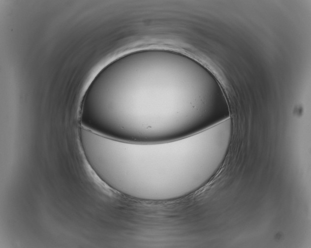 X0000097461532200802220755