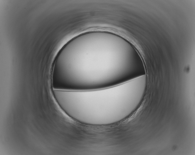 X0000097461533200802220755