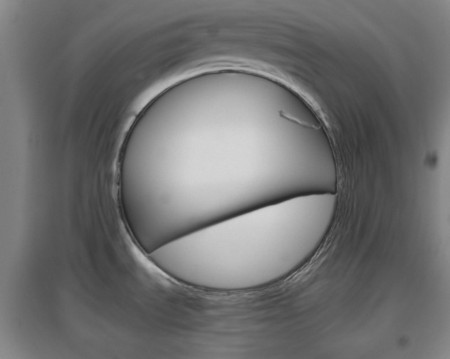 X0000097461535200802220755