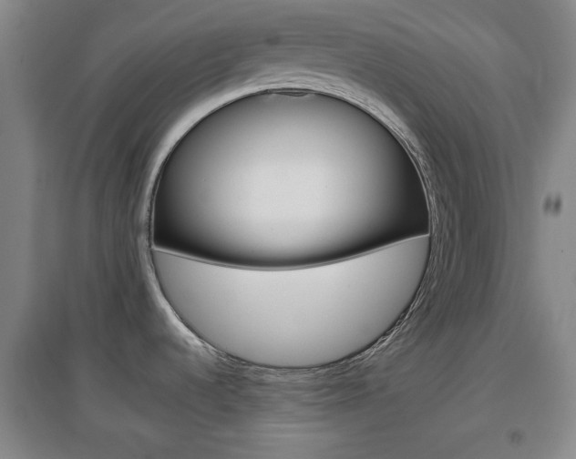 X0000097461536200802220755